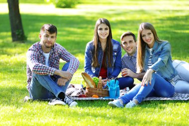 Parkta piknik üzerinde mutlu arkadaşlar