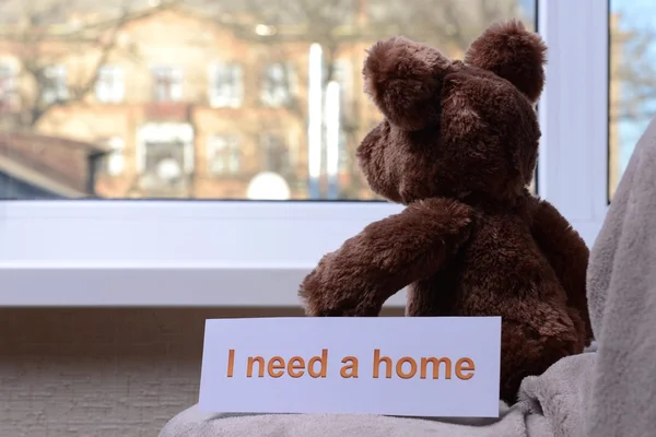 Toy-bear looking out window close-up — Stock Photo, Image