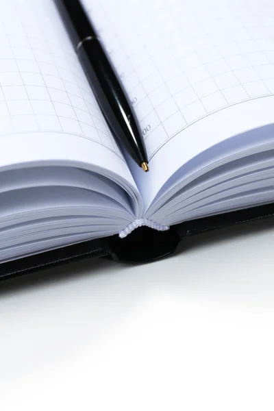 Stift auf aufgeschlagenem Buch, Nahaufnahme — Stockfoto
