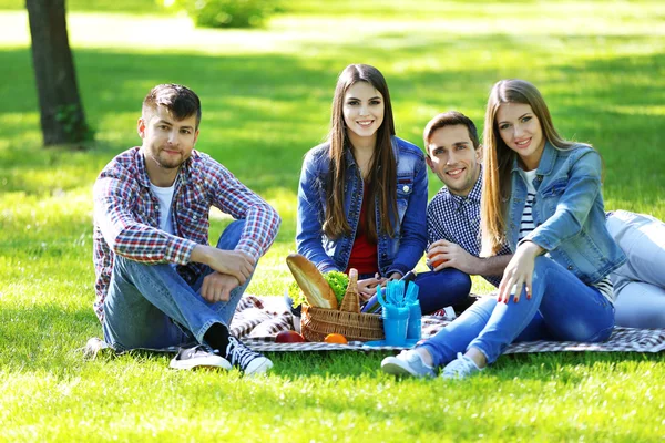 Amigos felizes no piquenique no parque — Fotografia de Stock