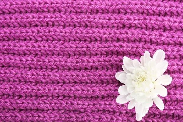 Beautiful flower on knitted fabric background — Stock Photo, Image