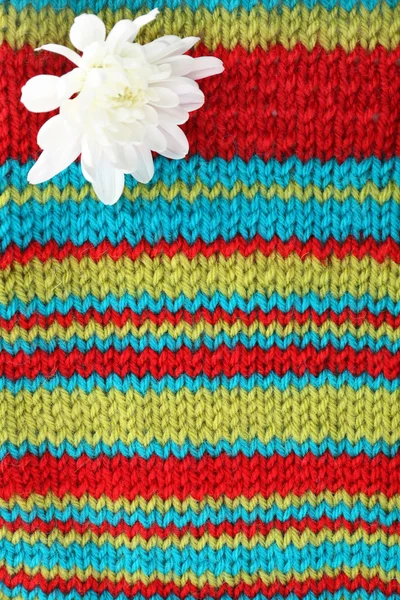 Bellissimo fiore su sfondo tessuto lavorato a maglia — Foto Stock