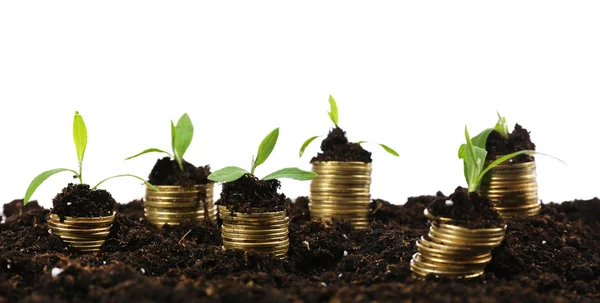 Business concept: golden coins in soil with young plants — Stock Photo, Image