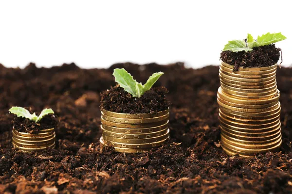 Концепция бизнеса: золотые монеты в почве с молодыми растениями — стоковое фото