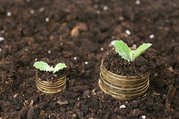 Affärsidé: gyllene mynt i jord med unga plantor — Stockfoto