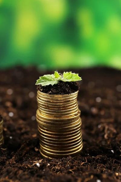 Affärsidé: gyllene mynt i jord med unga plantor — Stockfoto
