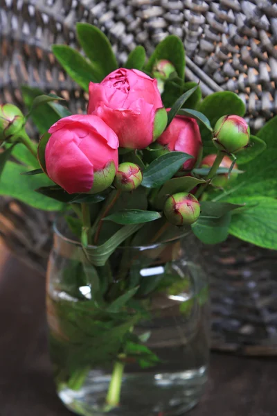 Beautiful peonies — Stock Photo, Image