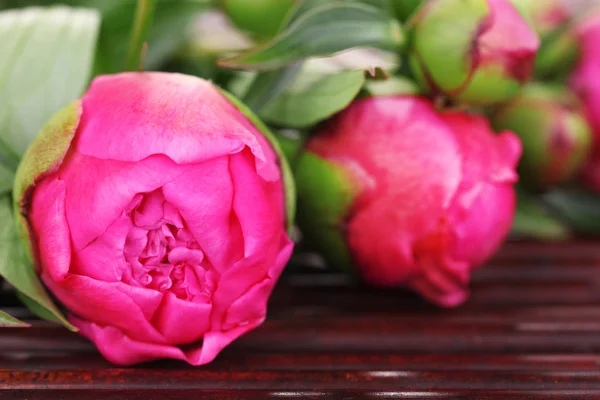 Πανέμορφο peonies — Φωτογραφία Αρχείου