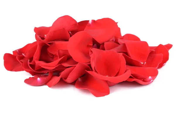 Kronblad röda rosor — Stockfoto