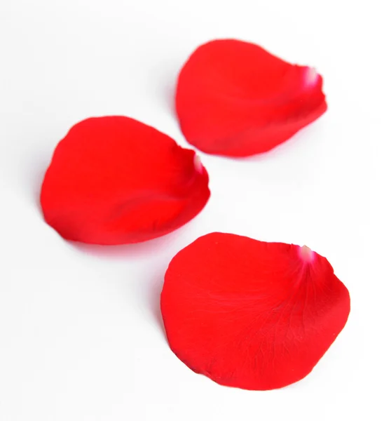 Petali di rose rosse — Foto Stock