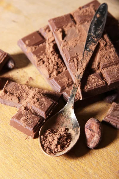 Cocoa powder and chocolate — Stock Photo, Image