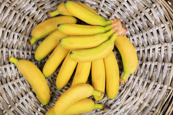 Bunch of mini bananas — Stock Photo, Image