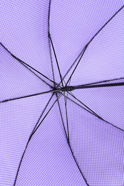 보라색 우산가 까이 서 — 스톡 사진