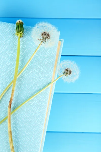 Dandelions on book — Stock Photo, Image