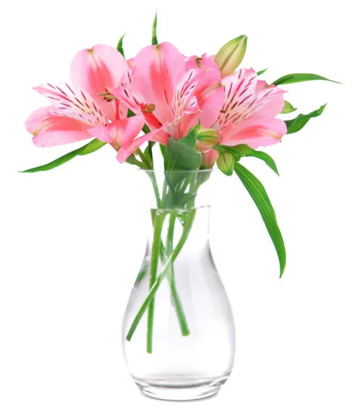 Alstroemeria flowers in vase isolated on white Stock Picture