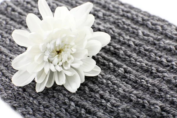 編み物のファブリックの背景に美しい花 — ストック写真