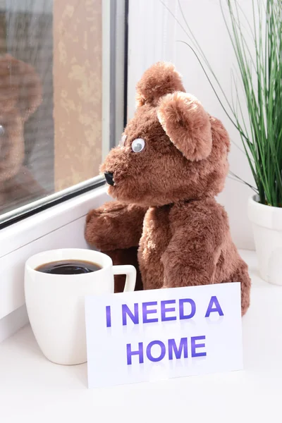 Toy-bear looking out window close-up — Stock Photo, Image