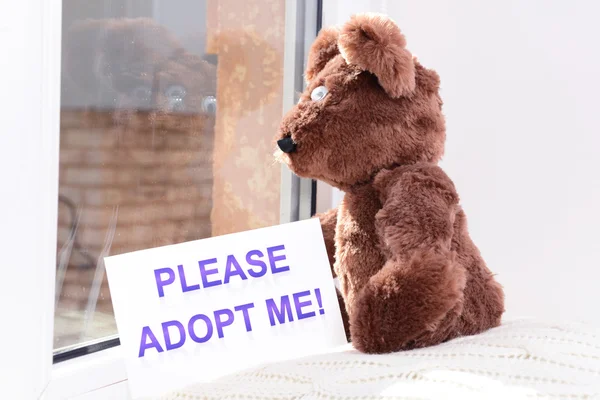 Toy-bear looking out window close-up — Stock Photo, Image