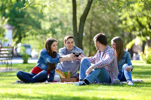 Lykkelige venner på piknik i parken – stockfoto