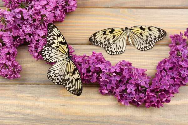 Beautiful butterflies and lilac flowers, on wooden background — Stock Photo, Image