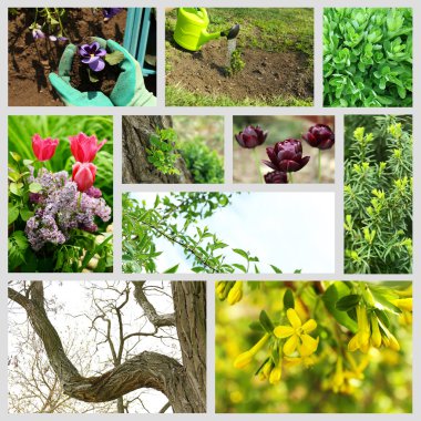 Bahar sezonu kolaj