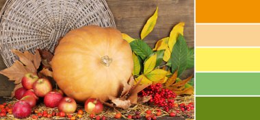 Kabak ile sonbahar natürmort. Ücretsiz renk örneklerini renk paleti