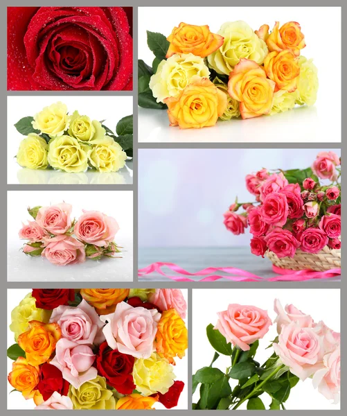 Mooie rozen collage — Stockfoto