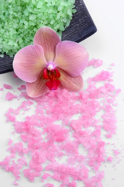 Still life with beautiful blooming orchid flower  and heap of sea salt, isolated on white — Stock Photo, Image