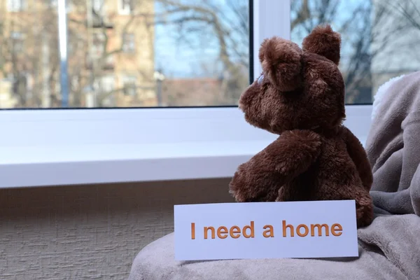 Toy-bear looking out window close-up — Stock Photo, Image