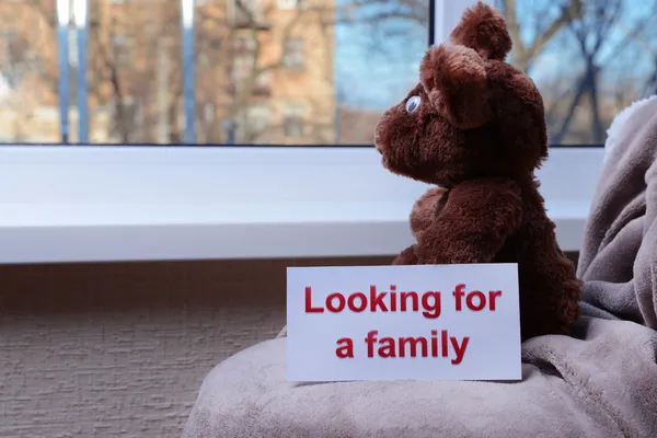 Toy-bear looking out window close-up — Stock Photo, Image