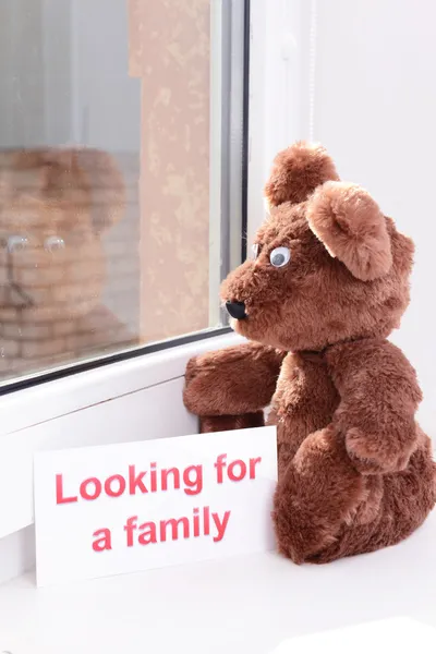 Toy-bear looking out window close-up — Stock Photo, Image