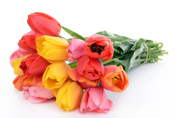 Hermosos tulipanes en cubo aislado en blanco — Foto de Stock