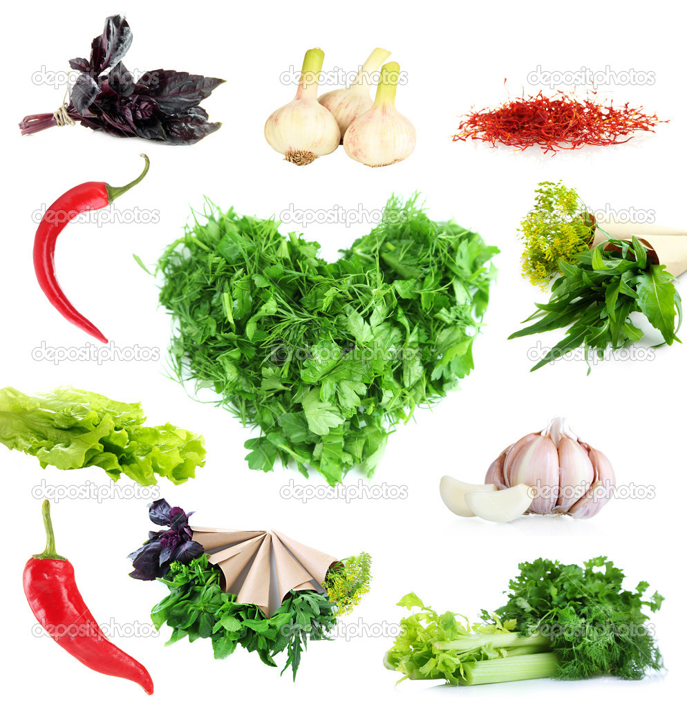 Collage von Kräutern und Gewürzen isoliert auf weiß — Stockfoto