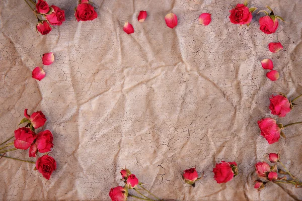 Schöne rosa getrocknete Rosen auf altem zerknittertem Hintergrund — Stockfoto