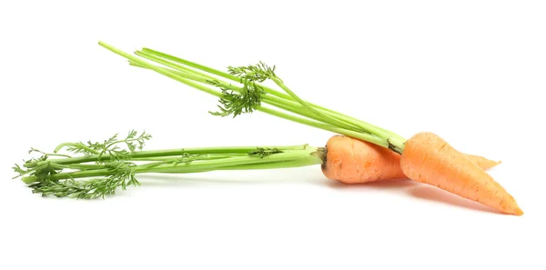 Zanahorias frescas aisladas en whit —  Fotos de Stock