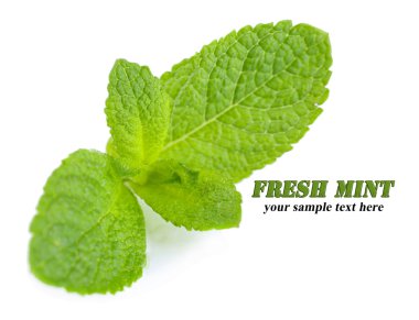 Beyazda izole edilmiş nane