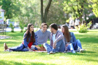 Parkta piknik üzerinde mutlu arkadaşlar