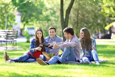 Parkta piknik üzerinde mutlu arkadaşlar