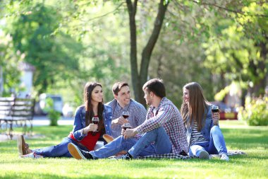 Parkta piknik üzerinde mutlu arkadaşlar