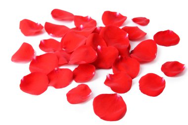 Güzel kırmızı güller beyaz güller üzerinde izole.