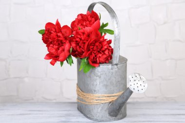 güzel pembe peonies gri duvar zemin üzerine