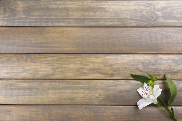 Hermosas flores de Alstroemeria sobre mesa de madera —  Fotos de Stock