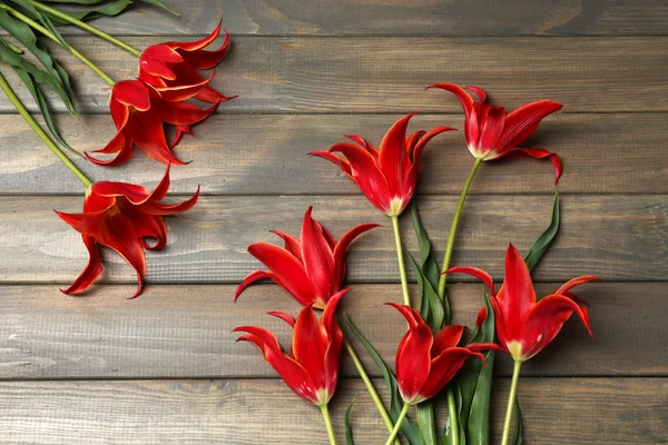 Beautiful red tulips on wooden background — Stock Photo, Image