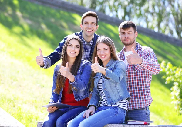 Šťastní studenti sedí v parku — Stock fotografie