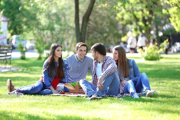 Happy přátelé na piknik v parku — Stock fotografie