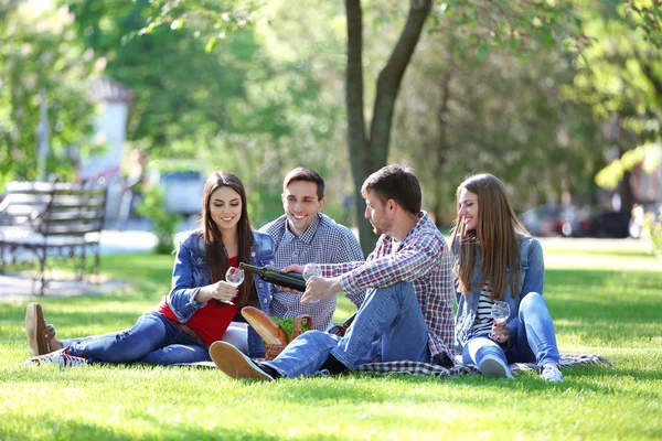 Happy friends on picnic in park — Stock Photo, Image