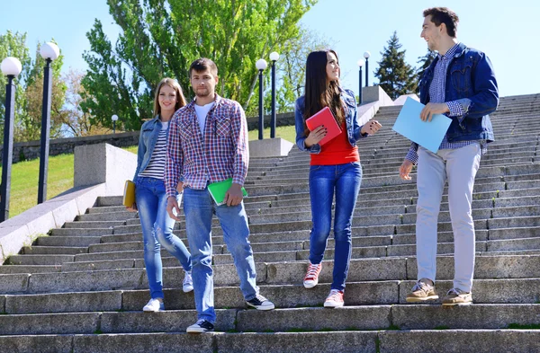 Estudiantes felices en las escaleras del parque — Foto de Stock