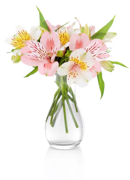 Flores de Alstroemeria en jarrón aislado sobre blanco —  Fotos de Stock