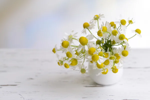 Beautiful daisies flowers in vase on table on light background — Stock Photo, Image