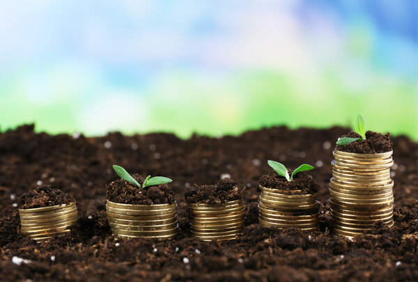 Business concept: golden coins in soil with young plants on nature background